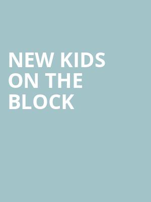 New Kids On The Block Poster