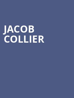 Jacob Collier, Jacobs Pavilion, Cleveland