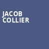 Jacob Collier, Jacobs Pavilion, Cleveland