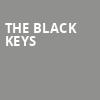 The Black Keys, Rocket Mortgage FieldHouse, Cleveland